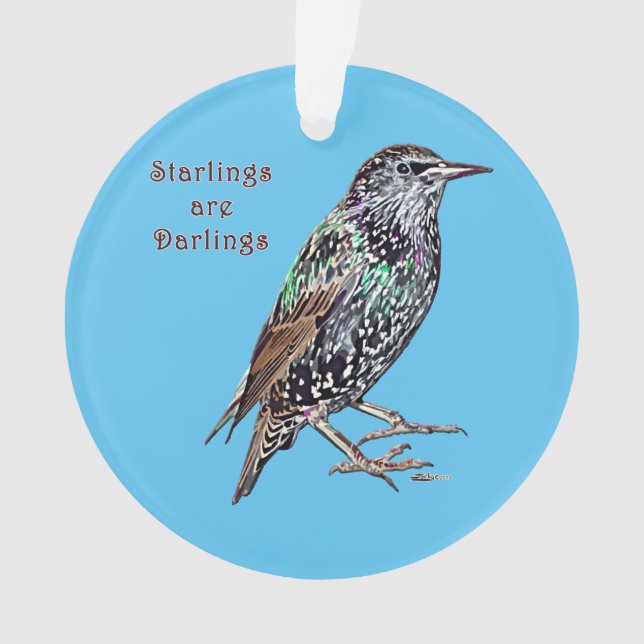 Starlings sind Darlings Ornament (Vorderseite)