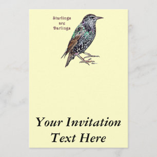 Starlings sind dunkel einladung
