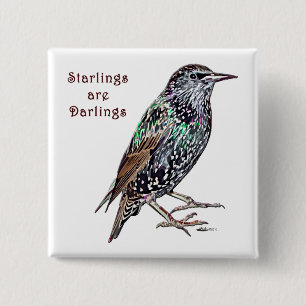 Starlings sind Lieblinge Button