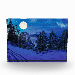 Starre Nacht mit Vollmond im Wald Fotoblock