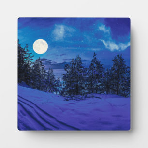 Starre Nacht mit Vollmond im Wald Fotoplatte