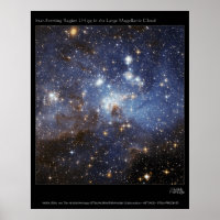 Starregion LH 95 im Magellan