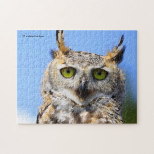 Starrwettbewerb mit einer schönen Virginia-Uhu Puzzle