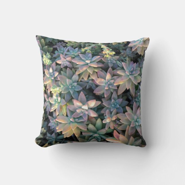 Starry Kaktus-Pflanze mit Rosa und Grün Kissen (Vorderseite)