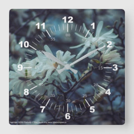 Starry Magnolia 3172 Quadratische Wanduhr