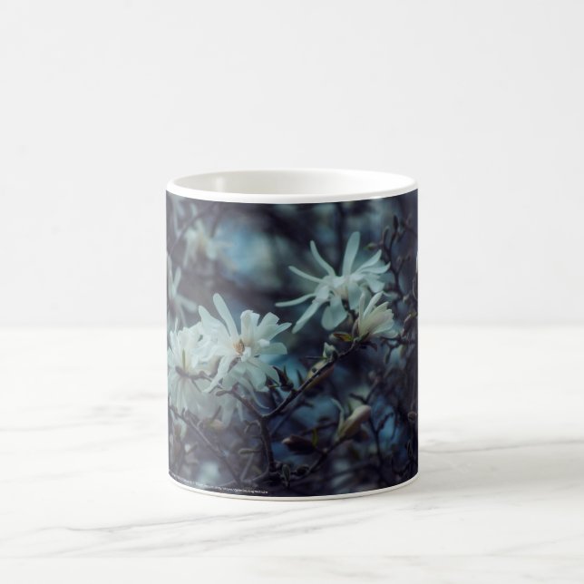 Starry Magnolia 3 172 Kaffeetasse (Mittel)