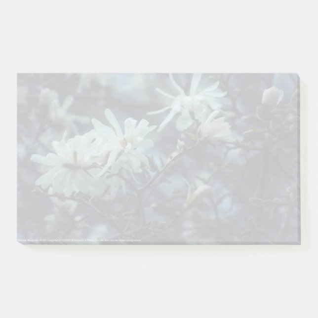 Starry Magnolia 3 172 Post-it Klebezettel (Vorderseite)