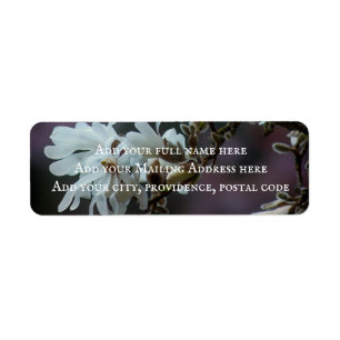 Starry Magnolia 5780