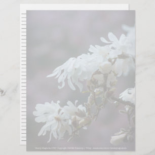 Starry Magnolia 5780