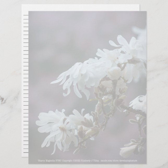 Starry Magnolia 5780 (Vorne/Hinten)