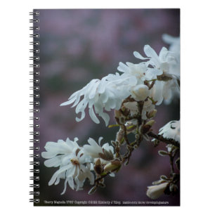 Starry Magnolia 5780 Notizblock