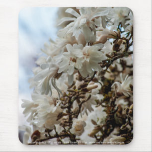 Starry Magnolia 5781 Mousepad