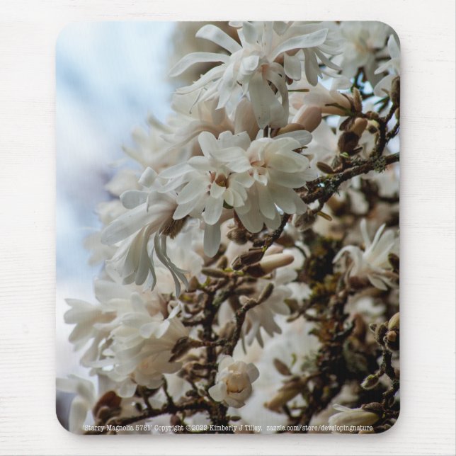 Starry Magnolia 5781 Mousepad (Vorne)