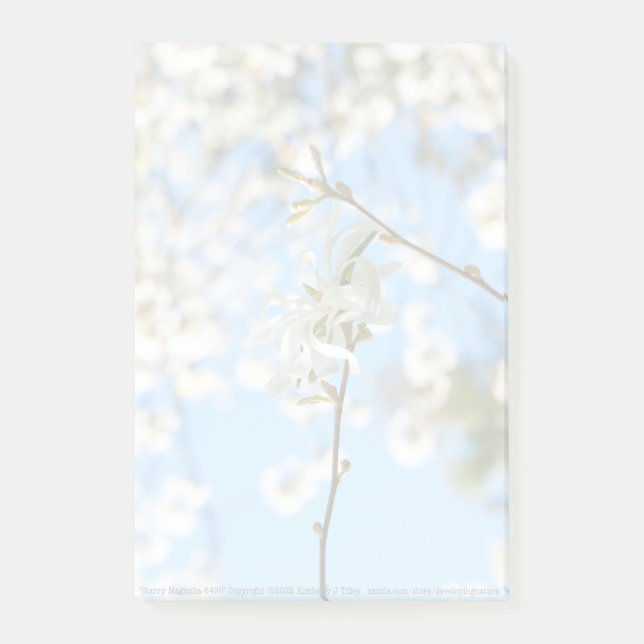 Starry Magnolia 6490 Post-it Klebezettel (Vorderseite)