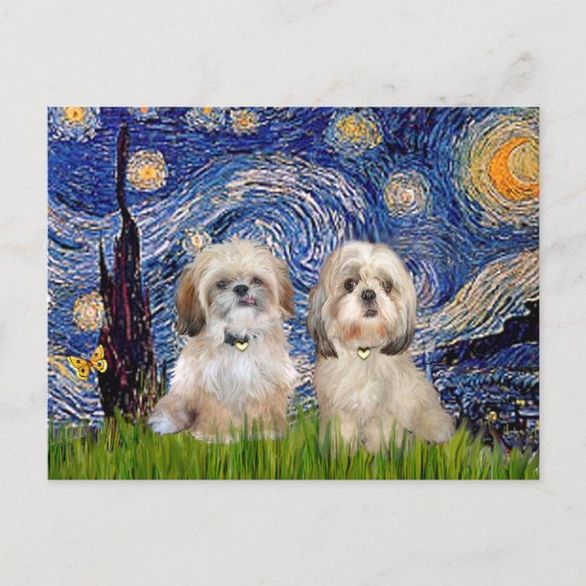 Starry Night - 2 Sihih Tzus (P+Y) Postkarte (Vorderseite)