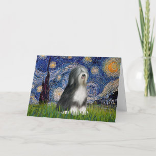 Starry Night - Black & White Tibetan Terrier Karte