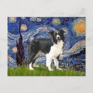 Starry Night - Border Collie (Z) Postkarte