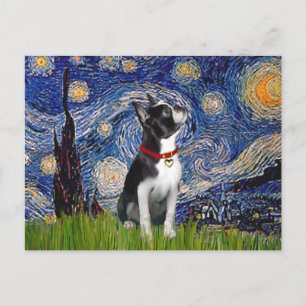 Starry Night - Boston T (2rc) Postkarte