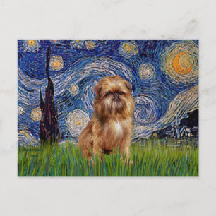 Starry Night - Brown Brussels Griffon Postkarte