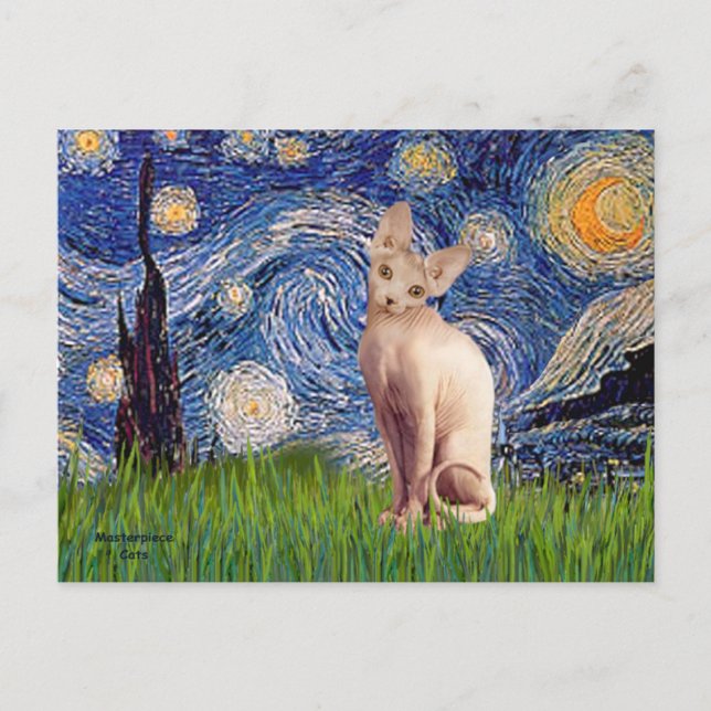 Starry Night - Cream Sphynx Cat Postkarte (Vorderseite)
