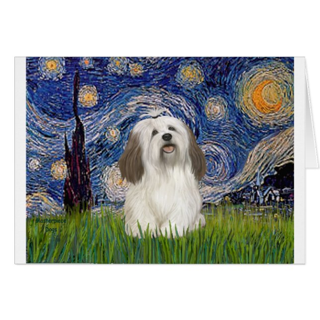 Starry Night - Havanese (#1) (Vorderseite (Horizontal))