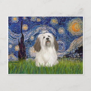 Starry Night - Havanese (#1) Postkarte