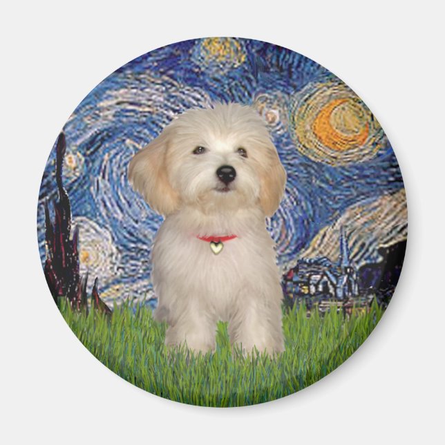 Starry Night - Havanese Puppy Magnet (Vorne)