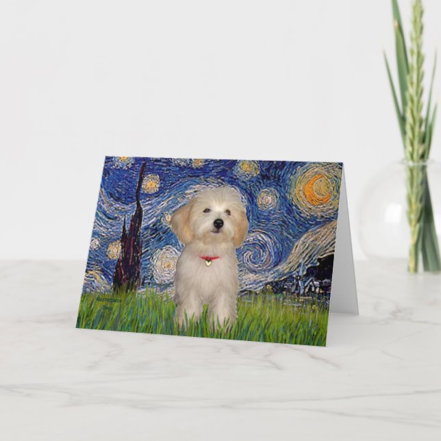 Starry Night - Havanische Welpe Karte (Vorderseite)