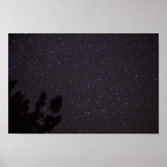 Starry Night, Michigan Poster (Vorne)