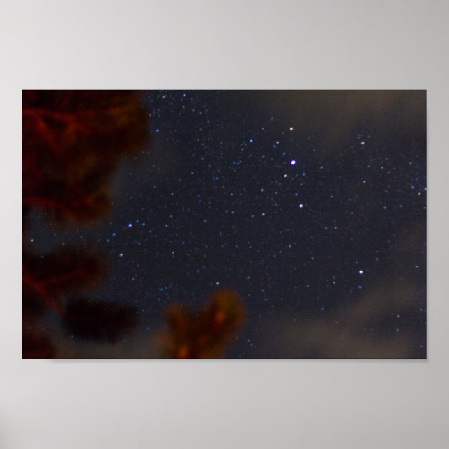 Starry Night, Michigan Poster (Vorne)