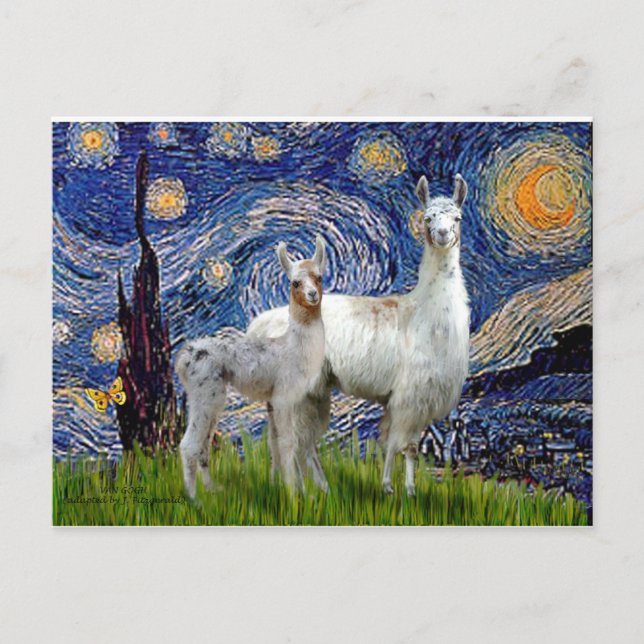 Starry Night mit zwei Llamas Postkarte (Vorderseite)
