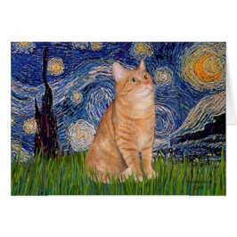 Starry Night - Orange Tabby 46