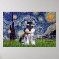 Starry Night - Schnauzer Welpe #10