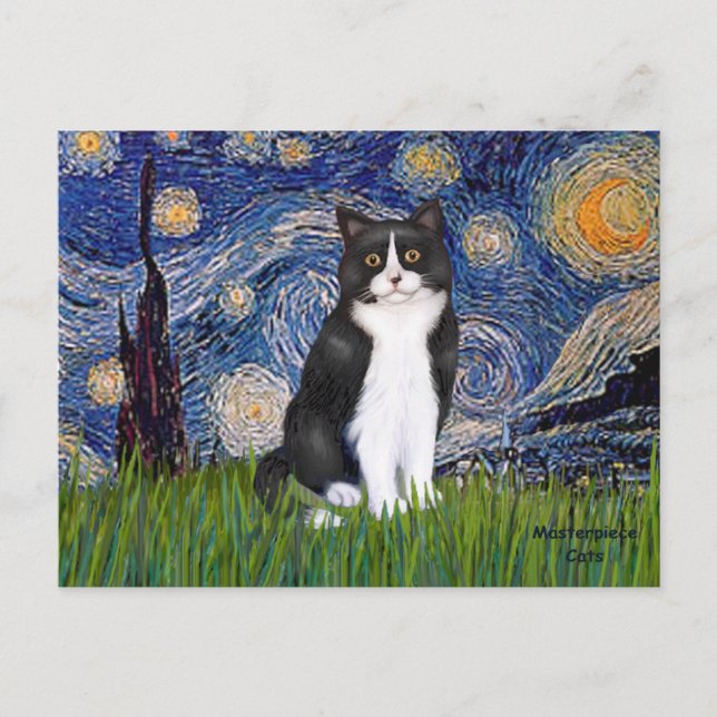 Starry Night - Schwarze und Weiße Katze Postkarte (Vorderseite)