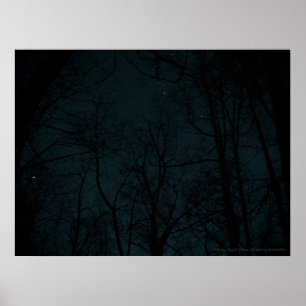 Starry Night Trees Poster