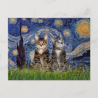 Starry Night - Two Tabby Tiger Cats Postkarte