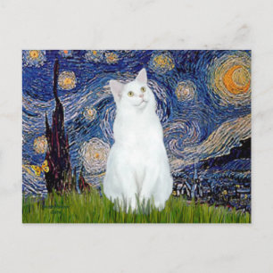 Starry Night - Weiße Katze Postkarte
