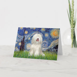 Starry Night - White Tibetan Terrier Karte