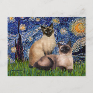 Starry Night - Zwei Siamkatzen (Choc Pt. Postkarte