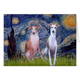 Starry Night - Zwei Whippets