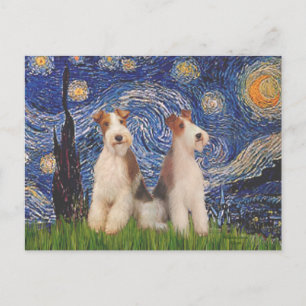 Starry Night - Zwei Wire Fox Terrier Postkarte