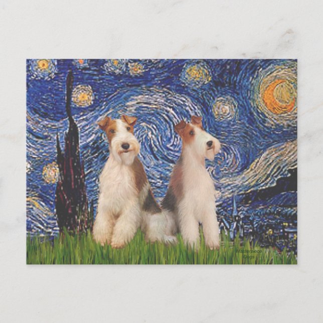 Starry Night - Zwei Wire Fox Terrier Postkarte (Vorderseite)