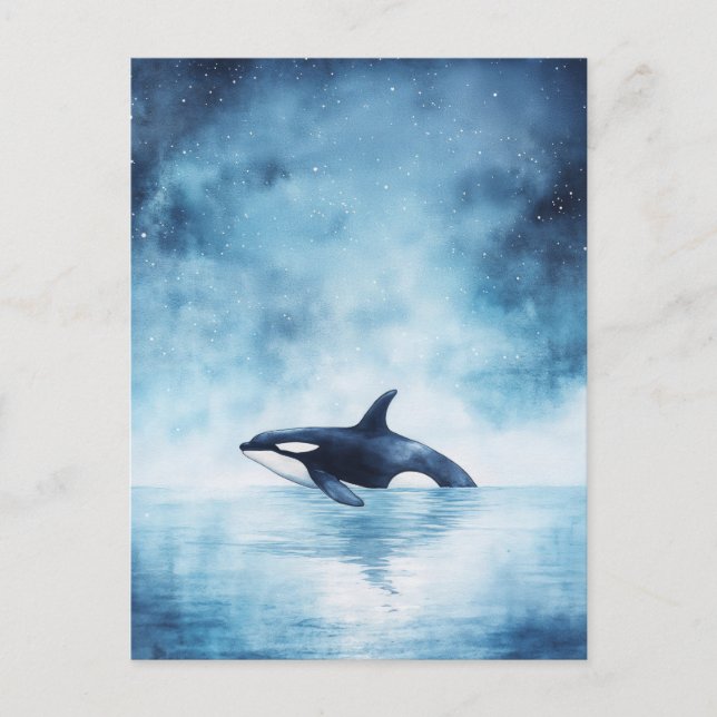 Starry Orca Whale Midnight Ocean Postkarte (Vorderseite)