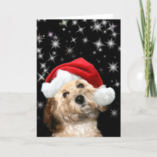Starry Santa dog Feiertagskarte