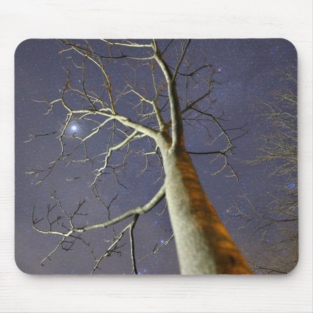 Starry_Tree_Mousepad Mousepad (Vorne)