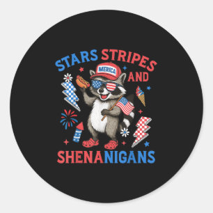 Stars Streifen und Shenanigans Usa Funny Raccoon 4 Runder Aufkleber