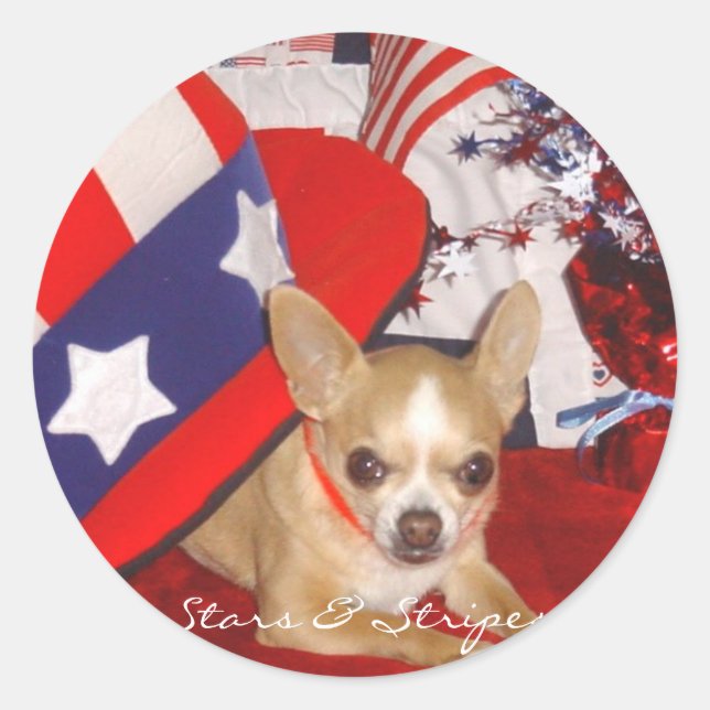 Stars & Stripes Chihuahua Button Runder Aufkleber (Vorderseite)