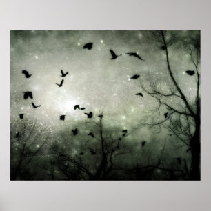 Stars und Crows Collide Poster