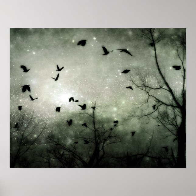 Stars und Crows Collide Poster (Vorne)