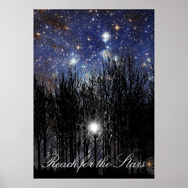 Starscape & Trees: Erlangen - Poster (Vorne)